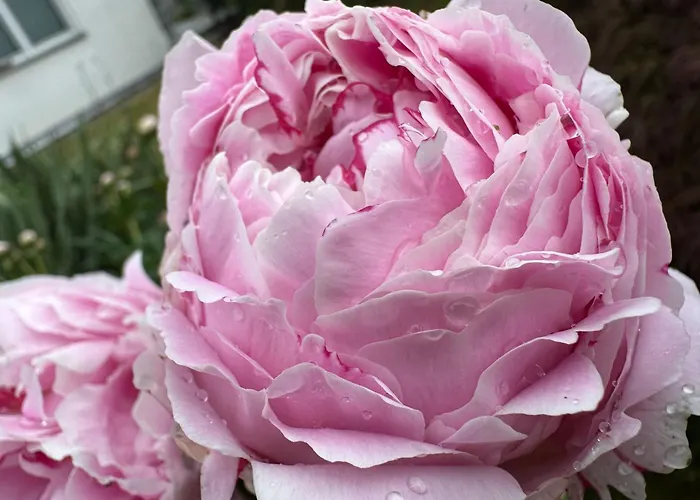 Historisches Winzerhaus Mit Moselblick Apartamento